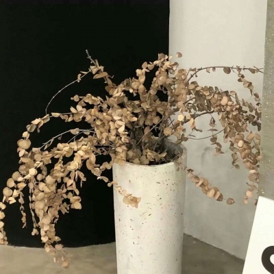 兽设火焰元素融合福瑞交流群